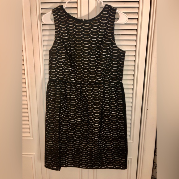 Loft Black cutout knee length dress size 8 petite - Picture 1 of 4